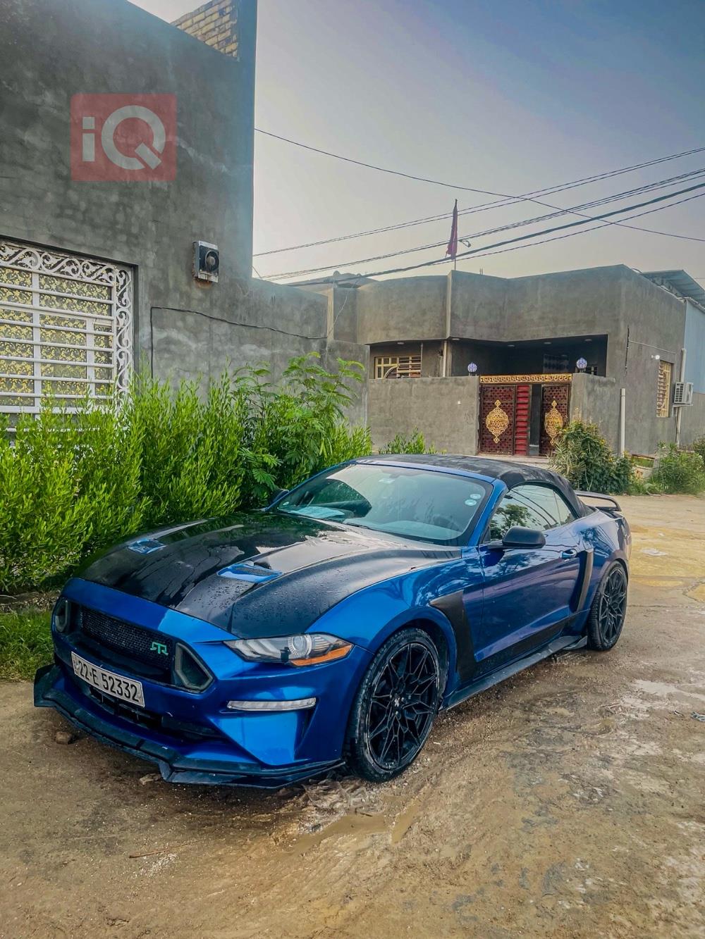 فورد موستانج